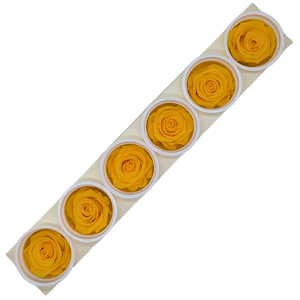 Products: Preserved Roses Sunny Yellow Fast NZ Delivery All InSeason