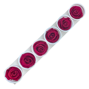 Products: Preserved Roses Velvet Plum Fast NZ Delivery All InSeason