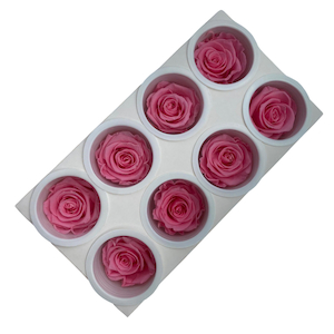 Products: Preserved Roses 8pack Baby Pink Fast NZ Delivery All InSeason
