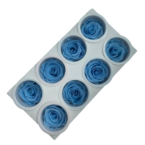 Preserved Roses Baby Blue Fast NZ Delivery All InSeason