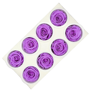 Products: Preserved Roses Baby Lily Fast NZ Delivery All InSeason