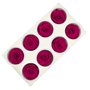 Products: Preserved Roses 8 pack Hot Pink Fast NZ Delivery All InSeason