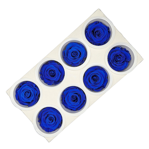 Products: Preserved Roses 8 pack Ocean Blue Fast NZ Delivery All InSeason