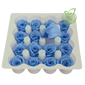 Preserved Spray Roses Sky Blue Fast NZ Delivery All InSeason