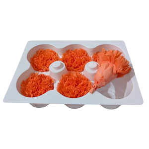 Products: Preserved Carnations Peach Fast NZ Delivery All InSeason