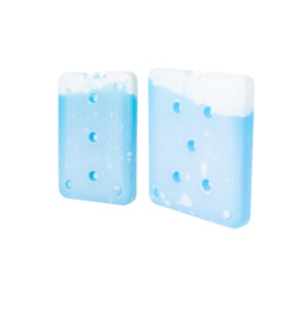 Products: Icey-Tek Gel Brick