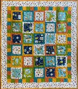 Kitsets: Bug Collector Quilt Kitset