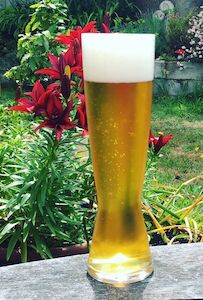 ATF Extract Recipe - Kiwi Pilsner