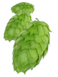 Cryo Hops: Mosaic Cryo Hops - 50g