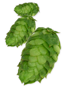 Simcoe Cryo Hops - 50g