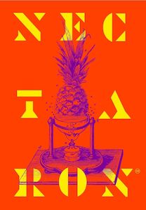 Nz Hops 2022 Harvest: Nectaron Hops 2025 Harvest - T90 Pellets 100gm