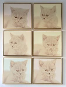 Products: Luna Meditation Art Tiles - Serene Cat Portraits for a Calming Home - JULIA HOLDEN
