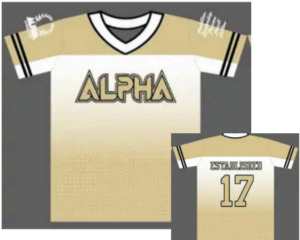 Products: 2025-2026 Alpha Cheer Training Jersey - Alpha Cheer NZ