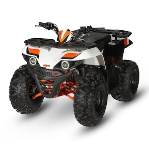 Sport Atv Quads Off Road: KAYO Bull 110 Youth ATV Quad