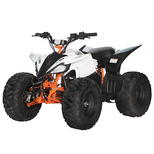 Electric Road 1: KAYO eA110 Youth Electric ATV Quad