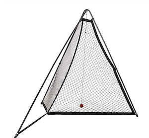 Cricket Training: The V Pro Net
