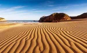 Tours: Top of the South - Takaka -Summer Date TBC