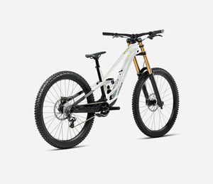 Bike Rental - Exec Downhill (Orbea Rallon) - Large