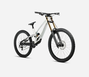Bike Rental: Bike Rental - Exec Downhill (Orbea Rallon) - Medium