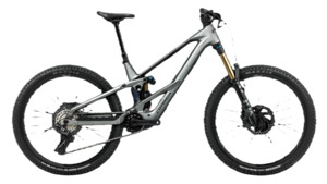 Orbea Wild LT H-TEAM