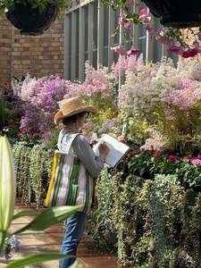 DRAWING CLUB Sunday 22nd March (Wintergardens)