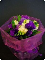 Flowers and Gifts - Bouquets and Arrangements - Amaryllis for Flowers: Lavender delight - amaryllis for flowers