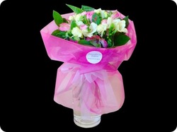 Flowers and Gifts - Bouquets and Arrangements - Amaryllis for Flowers: Pink and white delight - amaryllis for flowers