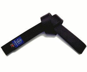 Products: Semi High Quality Japanese Black Belt