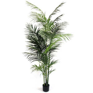 Faux Plants Foliages Flowers: Potted Areca Palm - 2.1m
