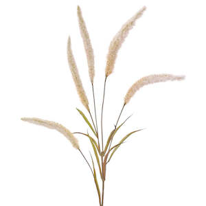 Flowering Pearl Grass - Cream/Brown