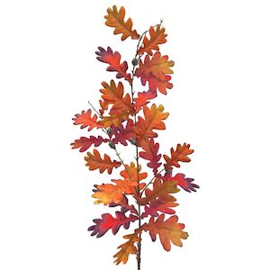 Tall Autumn Oak - Chestnut