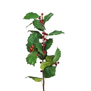 Products: English Holly - Green