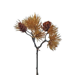 Lux Pine Pick - Gold