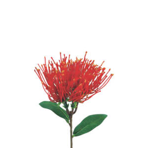Pohutukawa Spray: Red - Mini