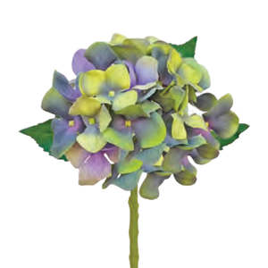 Water Stem Hydrangea: Green/Blue - Medium