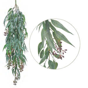 Weeping Gum - Grey/Green