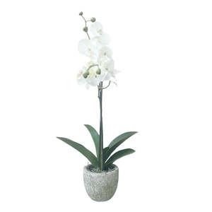Faux Plants Foliages Flowers: Soft Touch Phalaenopsis Potted: White - Small