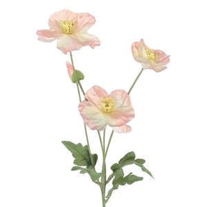 Products: Mini Poppies: Peach