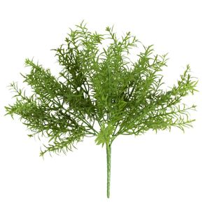 Products: Rosemary Bush: Green