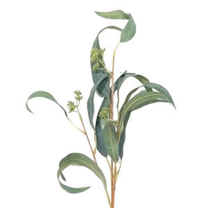 Products: Pointed Gum Foliage Pick: Green