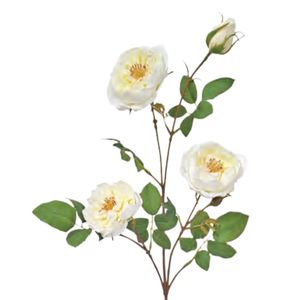 Products: Rambling Rose: Cream