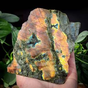 416g FLASH Raw Labradorite Carving Slice (S14B1)