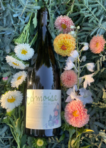 Amphora Chenin Blanc 2024