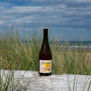 Amber Albariño 2023