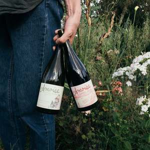 Amphora Pack - Mailing List