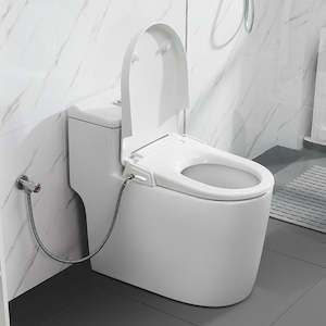 Gadgets: Bidet Seat - Non-electric Toilet Bidet Seat D shape