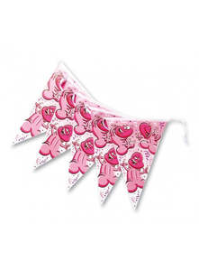 Ozze: Bachelorette Party Banner