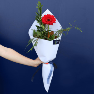 Fresh Florals: Bouquet | Single Gerbera