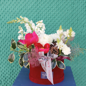 Christmas 25: Christmas | Velvet Ember