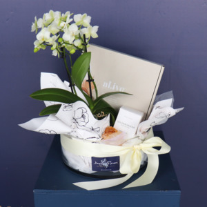 Gift Hamper | A Fresh Start